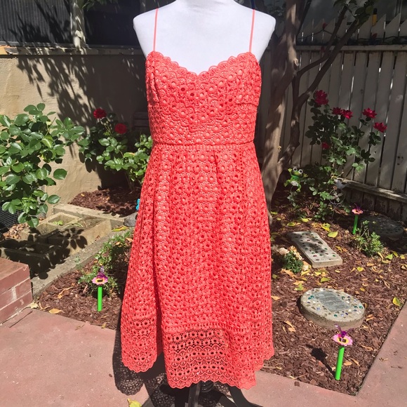 J. Crew Daisy Lace Dress - Picture 3 of 5